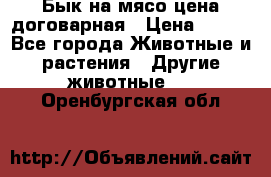 Бык на мясо цена договарная › Цена ­ 300 - Все города Животные и растения » Другие животные   . Оренбургская обл.